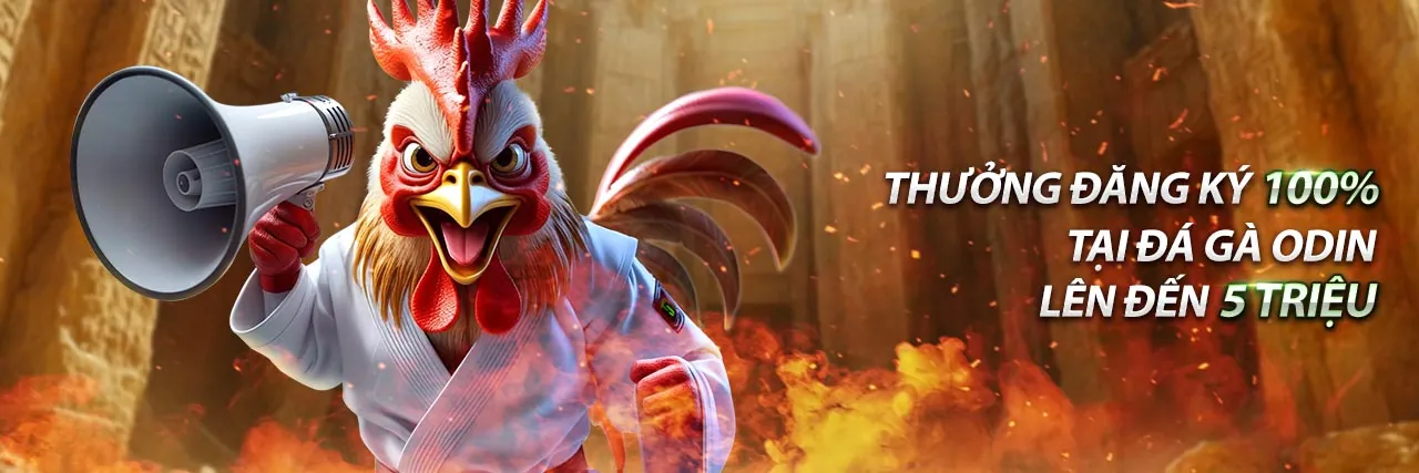 Đá gà trực tuyến hấp dẫn tại nhà cái tặng tiền trải nghiệm Xwiner.io